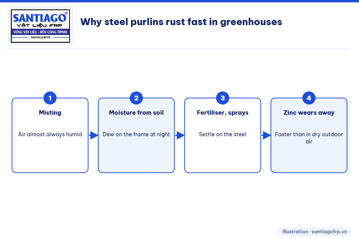 Causes of fast rusting of steel purlins in greenhouses