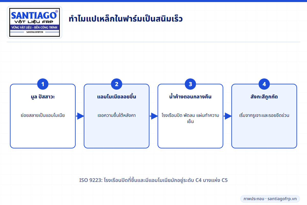 แอมโมเนียและความชื้นทำให้แปเหล็กในโรงเรือนปศุสัตว์เป็นสนิมอย่างไร