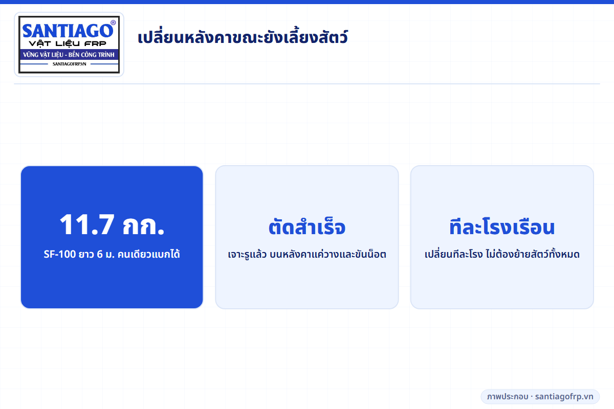 ตัวเลขการเปลี่ยนแปในฟาร์มที่ยังเลี้ยงสัตว์: SF-100 ยาว 6 ม. หนักประมาณ 11.7 กก.
