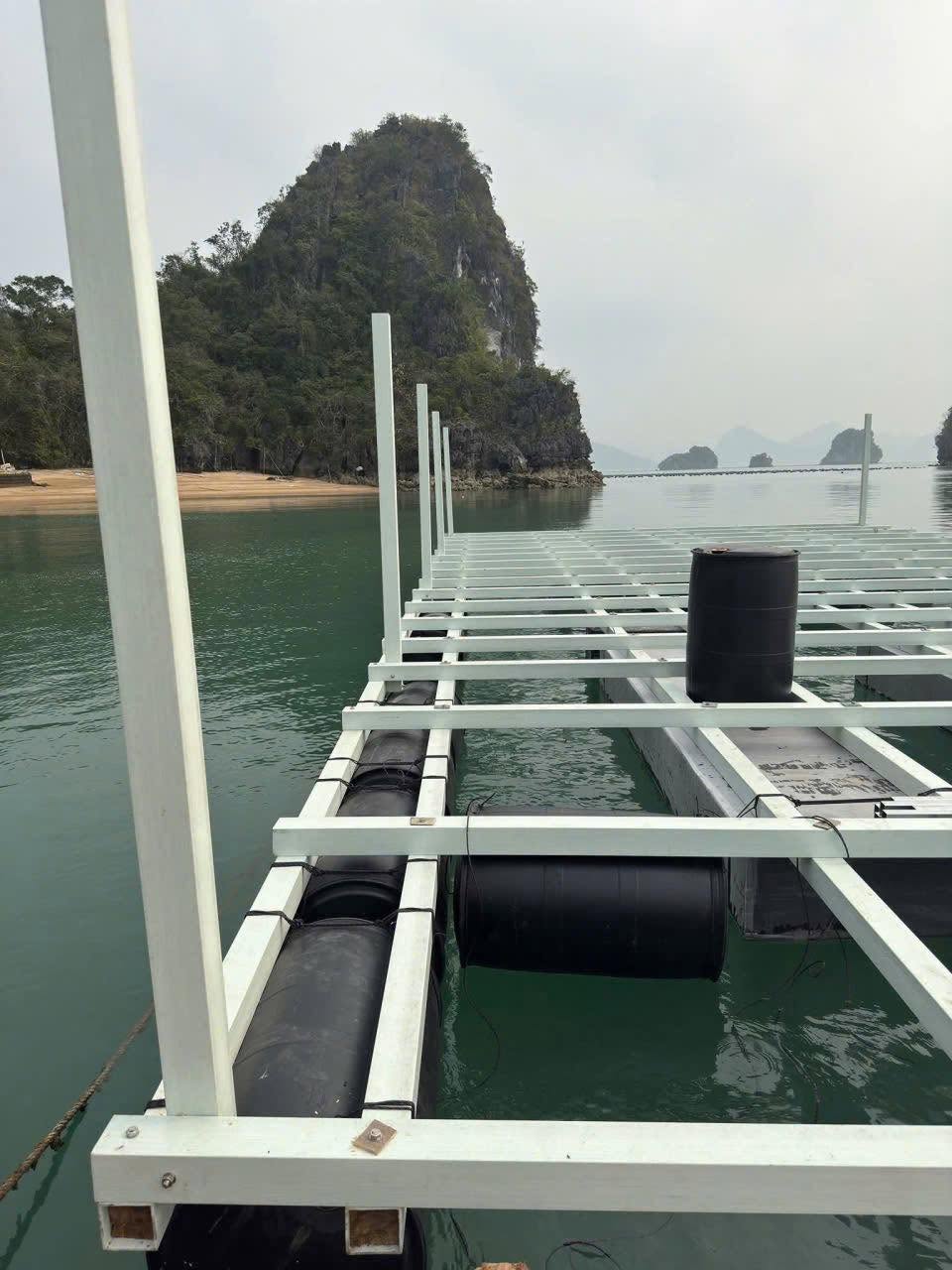 Khung bè composite trên phao đen trong vịnh