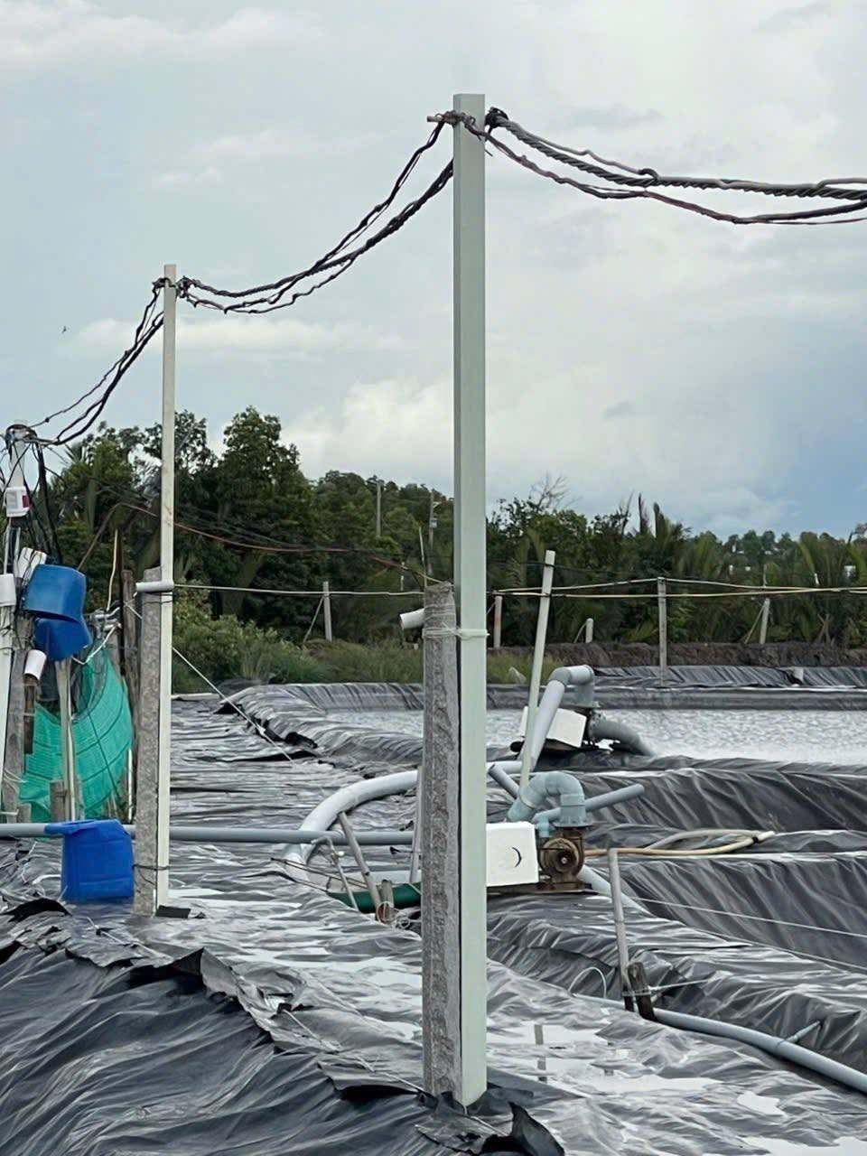 Cột composite đỡ dây điện ao tôm