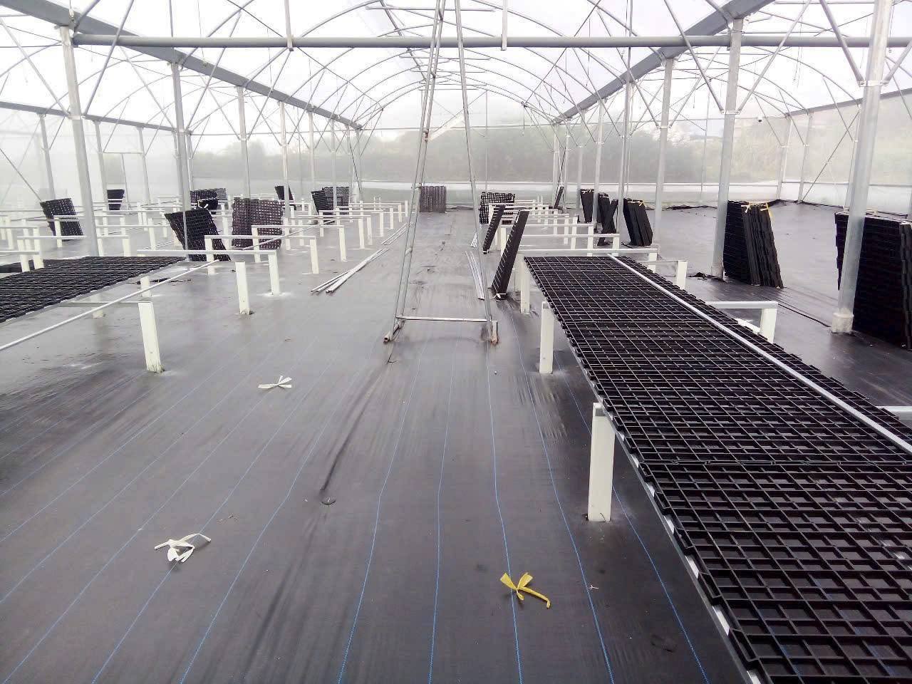 Kệ ươm cây composite nhà màng
