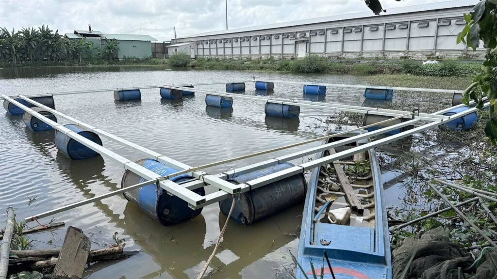 Khung lồng bè composite gần bờ