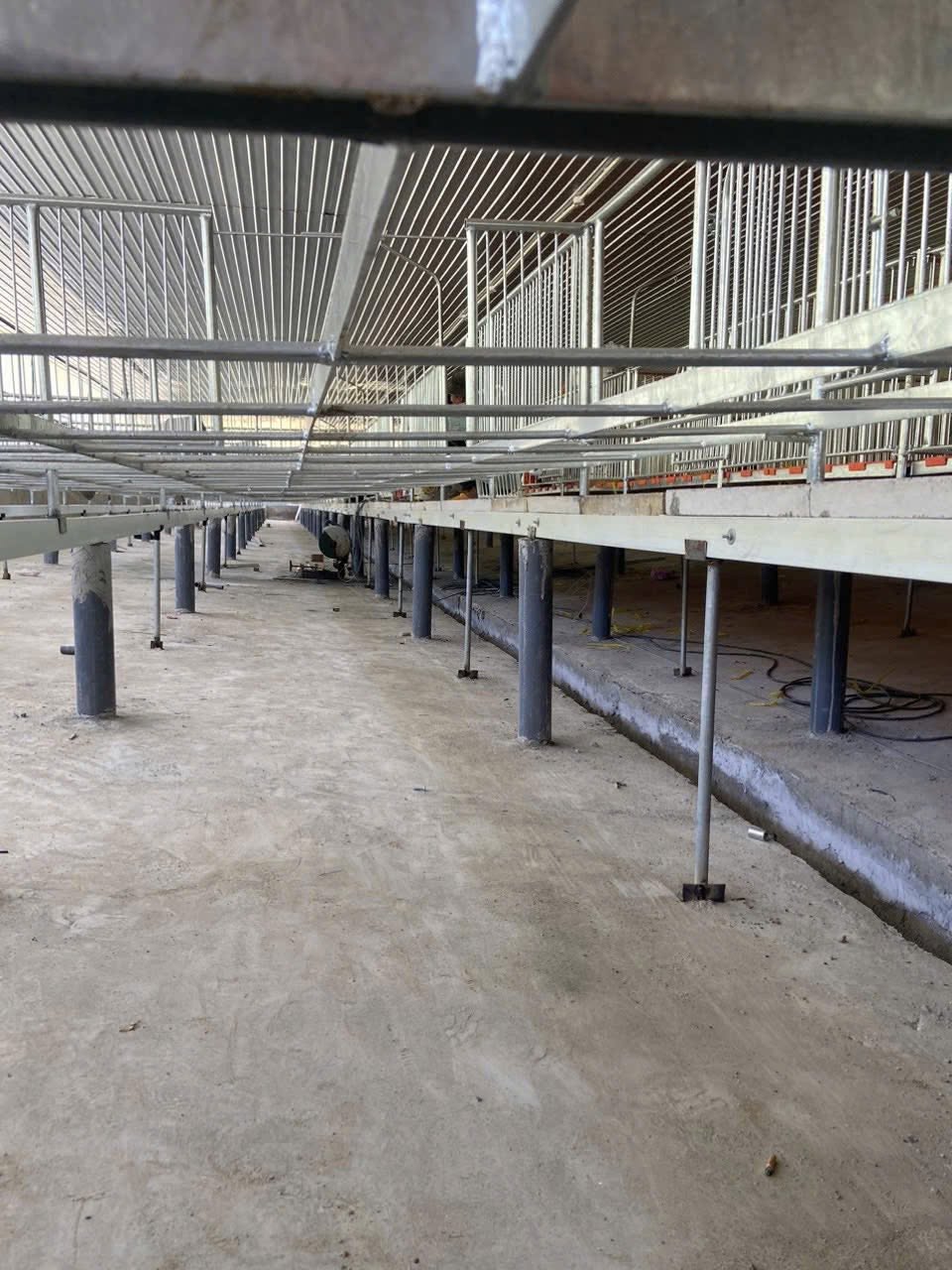 Khung sàn chuồng composite đặt cao trên trụ