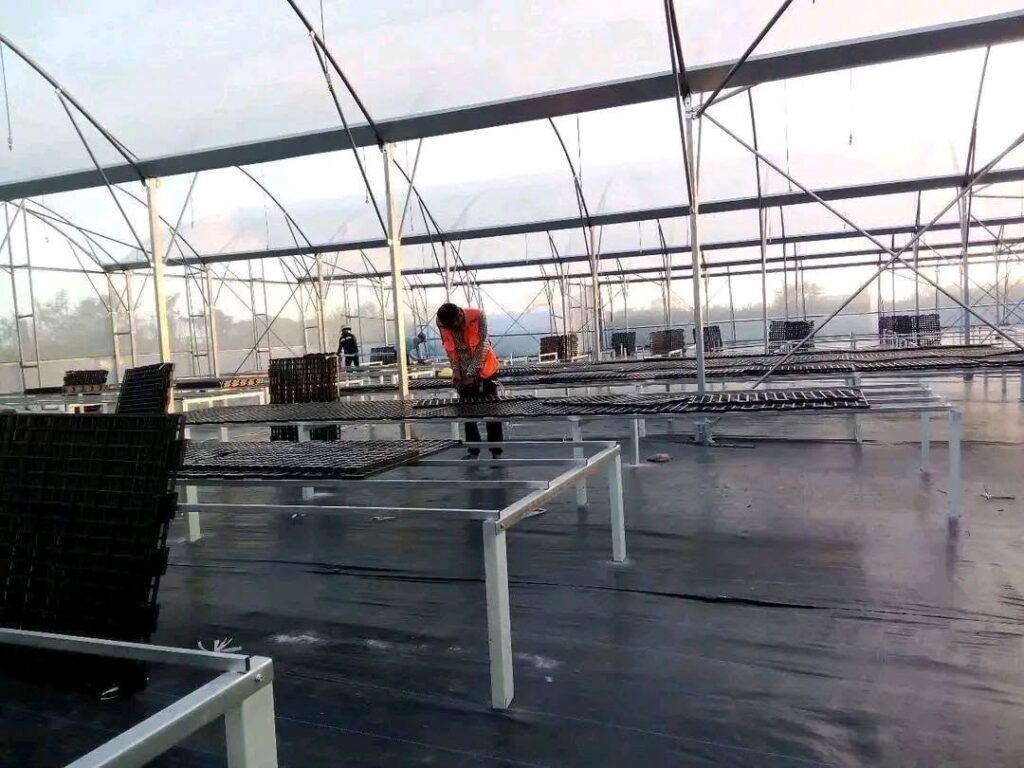 Ao tôm lót bạt có khung composite và cầu đi