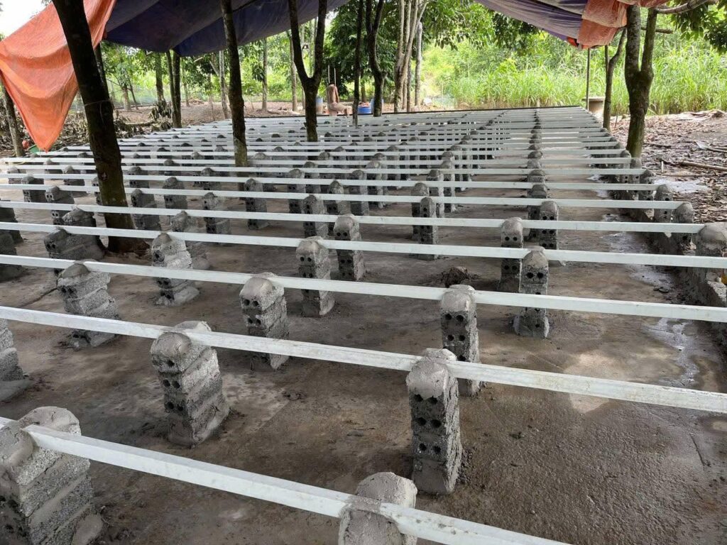 Khung sàn nuôi vịt bằng thanh hộp composite trên trụ gạch
