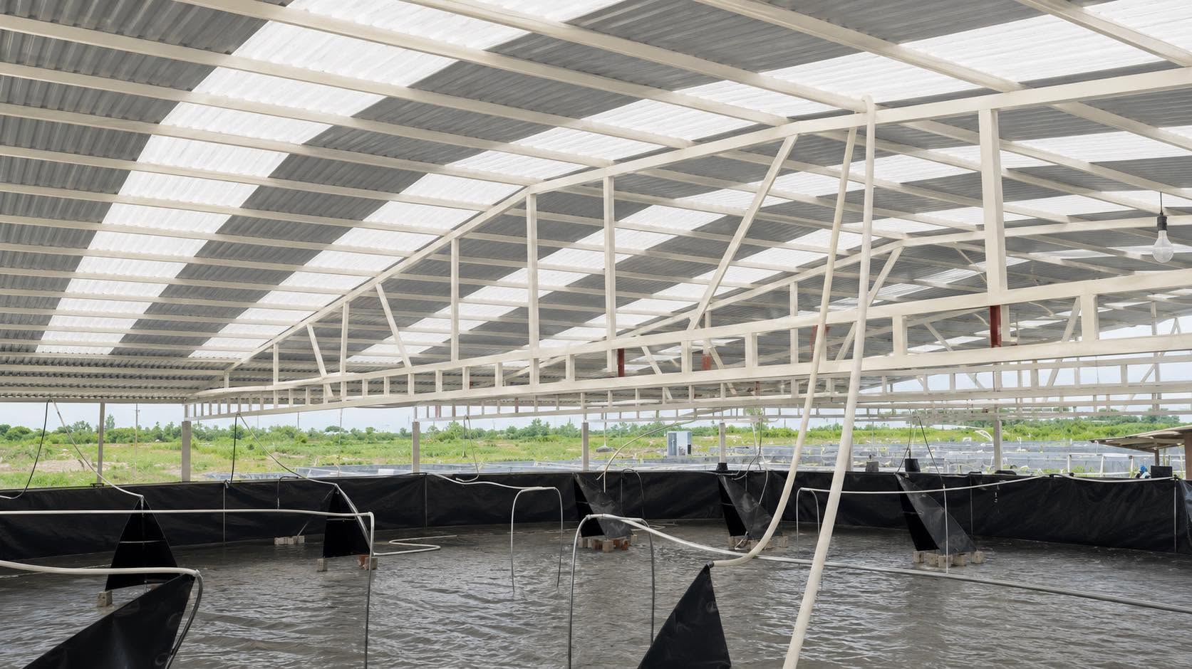 Mái khung composite che bể nuôi tôm